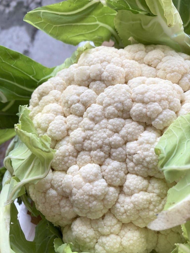Mercredi ou jeudi : Gratin de béchamel au chou-fleur