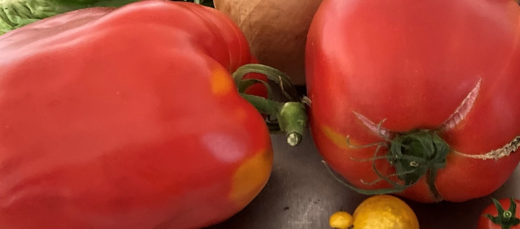 Jeudi ou vendredi : La belle tomate mozzarella à l'origan frais du jardin