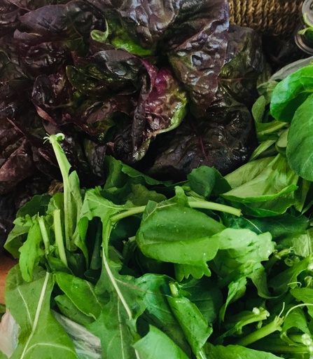Lundi ou mardi : Mesclun des salades vertes du marché